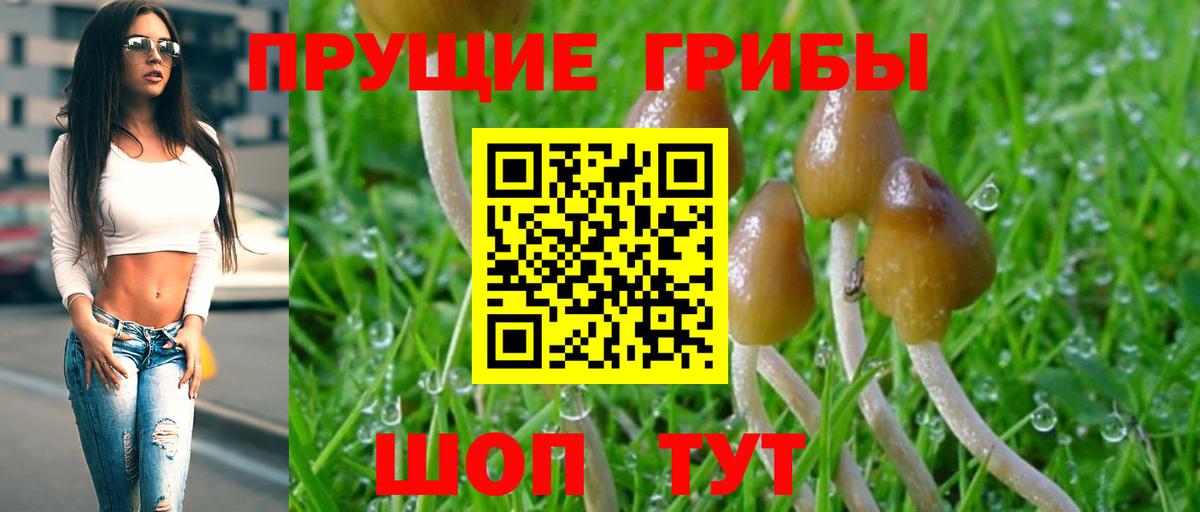 Псилоцибиновые грибы Magic Shrooms Алапаевск