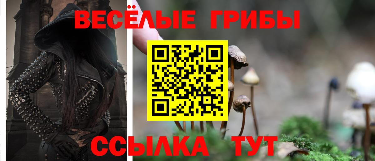 Галлюциногенные грибы мицелий  Псилоцибиновые грибы Psilocybine cubensis  Вход с VPN  Алапаевск 